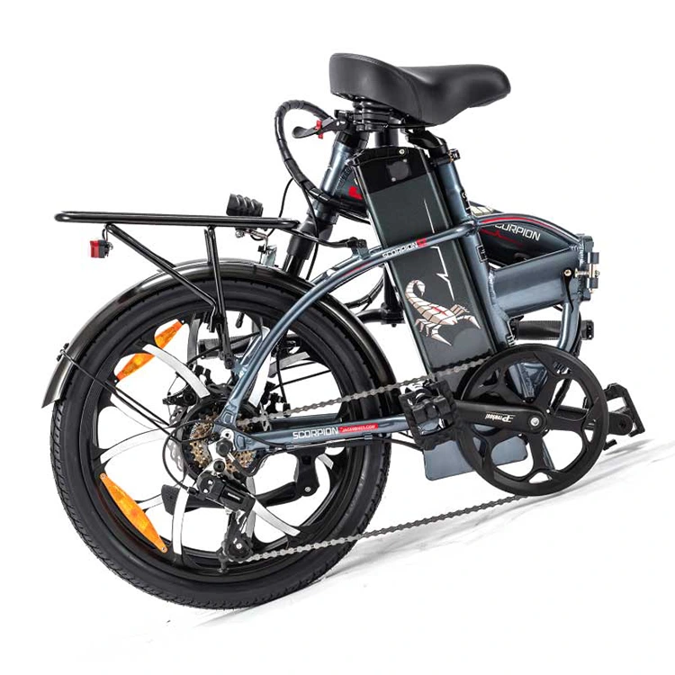 Folding Electric Bike
